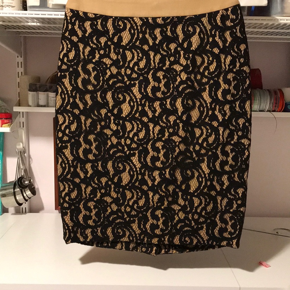 Ann Taylor Loft Skirt